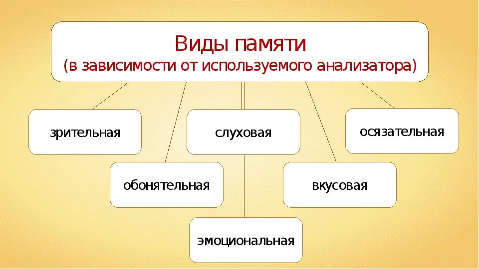 Виды памяти. Биология.память. Виды памяти. Типы памяти биология. Презентация на тему память. Память биология 8