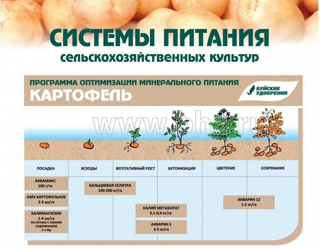 Какие удобрения по листу