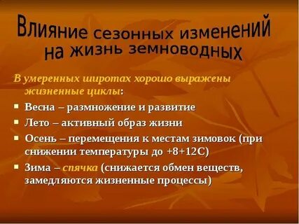 Охарактеризуйте влияние сезонных явлений
