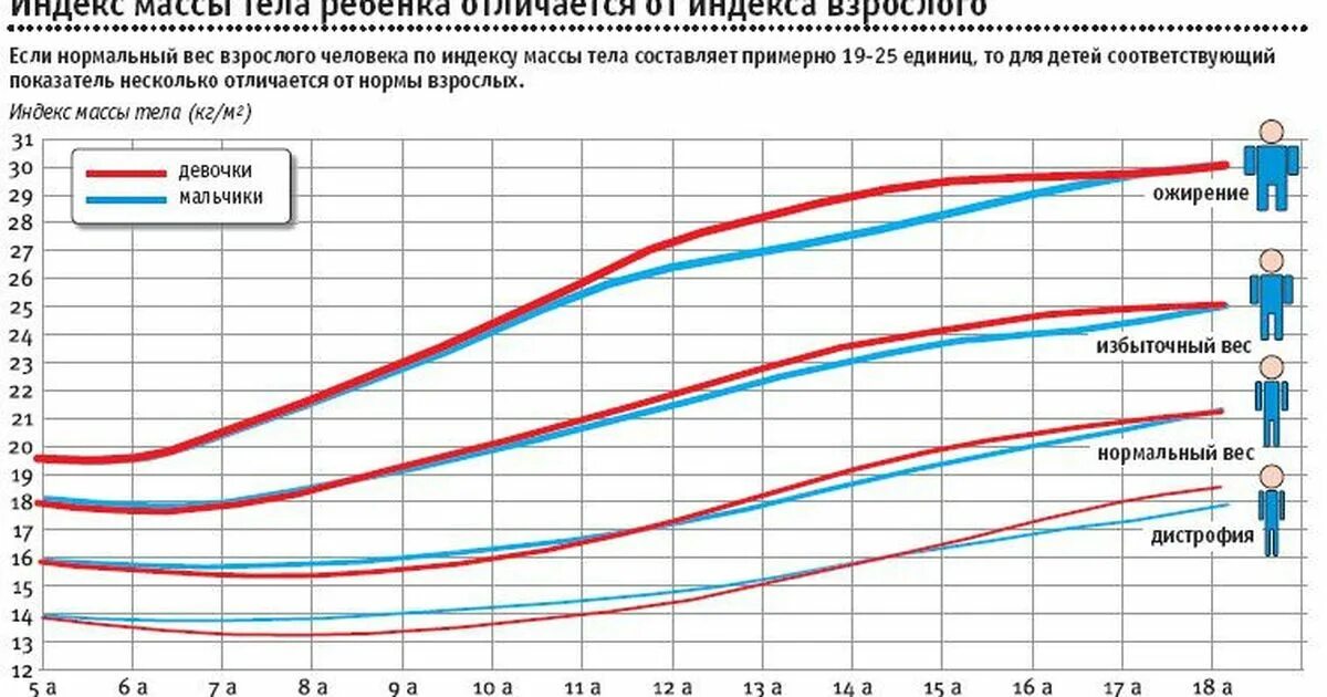 Индекс массы тела для подростков. Нормальный индекс массы тела подростка. Таблица индекса массы тела для подростков. Как рассчитать индекс массы тела у подростков.