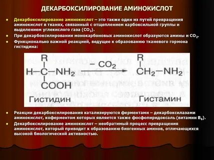 Биологическая роль декарбоксилирования аминокислот