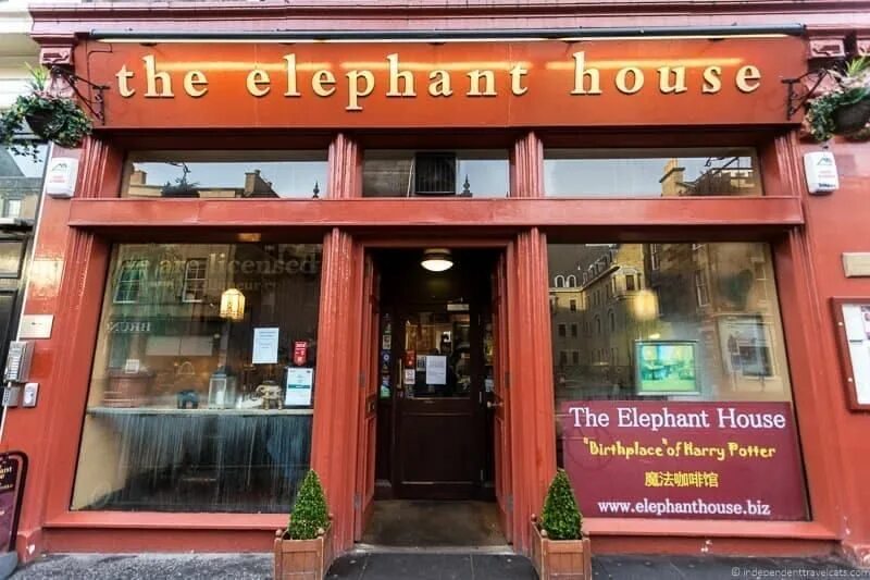 Elephant house. Elephant House Cafe Эдинбург. Кафе в Эдинбурге Роулинг.