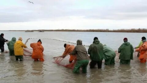 Балық аулаудың эротикалық фотосуреттері