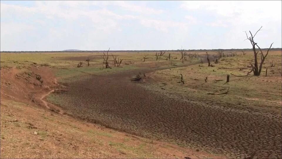 Всемирный день с опустыниванием и засухой. Опустынивание в Дагестане. День борьбы с опустыниванием. Опустынивание в Омской области.