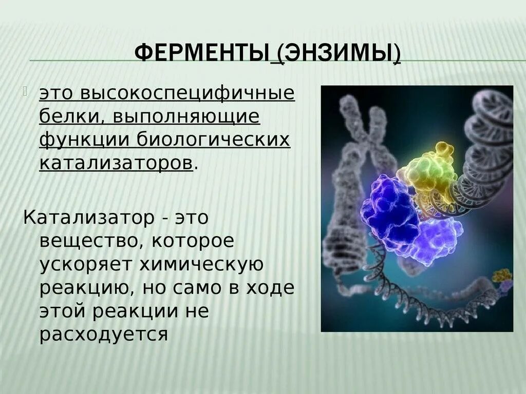 Спектос что это для чего
