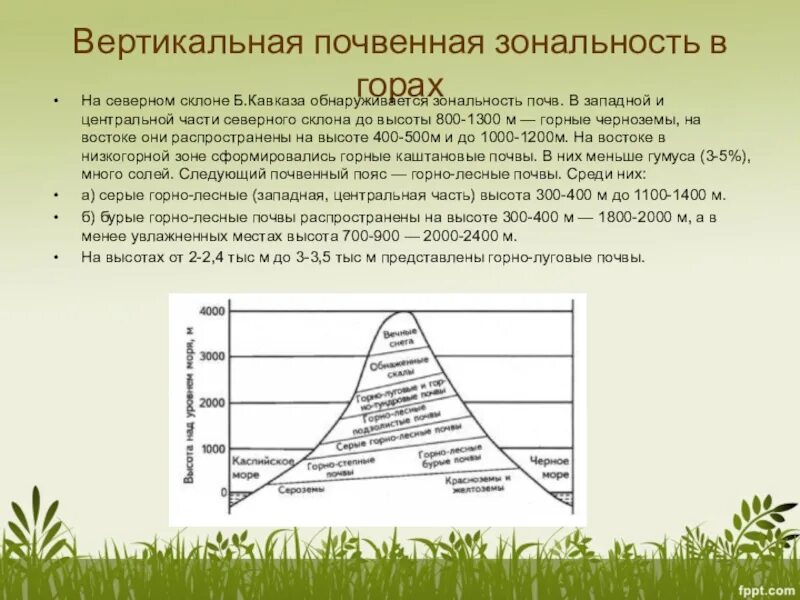 Вертикальная зональность. Вертикальная зональность почв. Горизонтальная и вертикальная зональность почв. Схема вертикальной зональности почв.