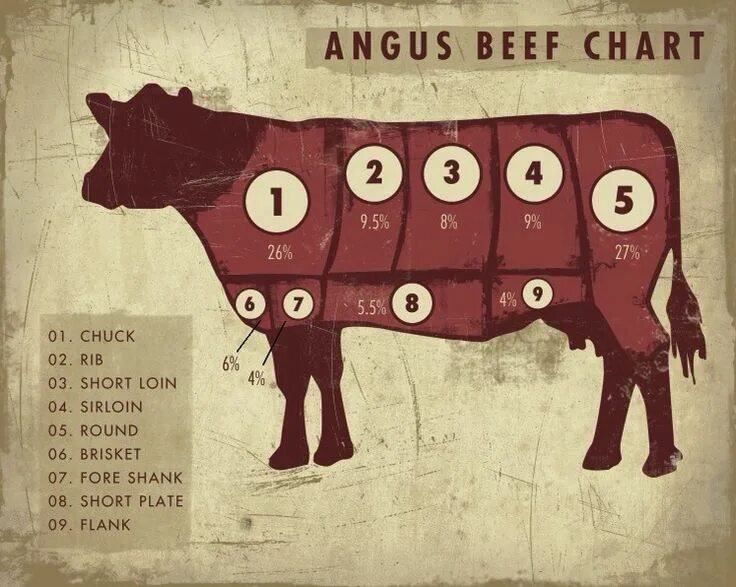 Ангус мясо. Ангус часть мяса. Говядина Ангус. Angus Beef Chart. Angus Beef Chart на русском.