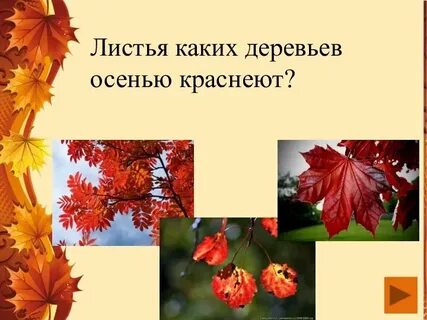 Какими становятся листья осенью
