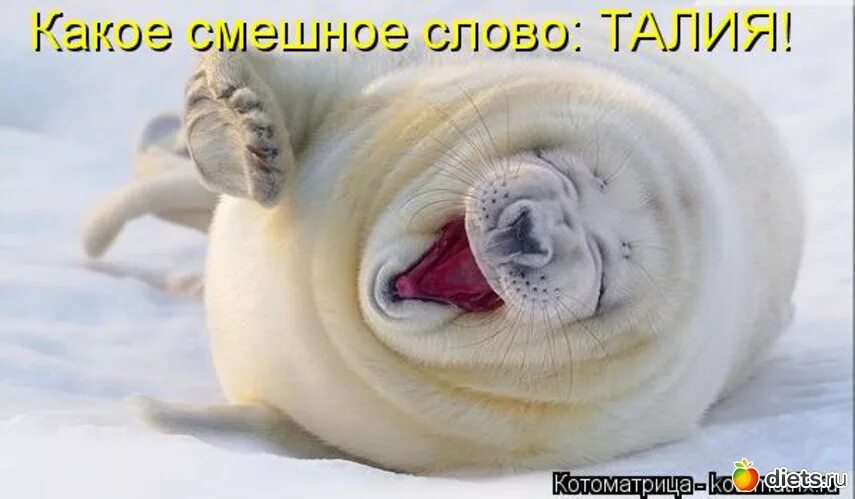 Какое смешное