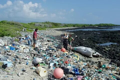 Самое грязное море