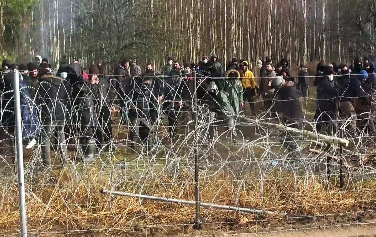 Мигранты на границе Беларуси и Польши. Миграционный кризис на границе Белоруссии. Мигранты на границе. Польско-белорусская граница мигранты.