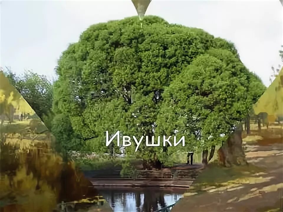 Песня ивушки вы ивушки ивушки зеленые. Песня ивушки вы ивушки ивушки зеленые. Песня ивушки вы ивушки ивушки зеленые. Ивушка песня текст. Ивушка ивушка зеленая моя стихотворение.