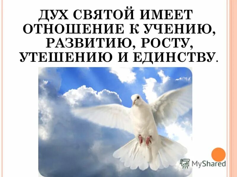 Песнь святому духу. Святой дух. С днем Святого духа поздравления. Изображение Святого духа. Дух Святой научит.