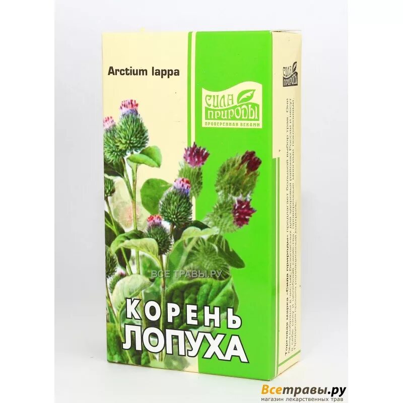 Лопух в аптеке. Лопуха корень 50г. Семена лопуха в аптеке. Репейник в аптеке. Репейник в аптеке.