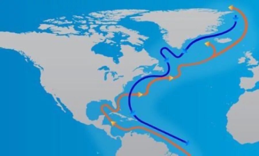 Морское течение гольфстрим. Гольфстрим и Северо-атлантическое течение. Океаническое течение Гольфстрим. Гольфстрим течения Атлантического океана. Что такое Гольфстрим в географии.