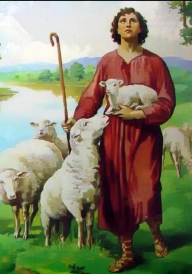 Пасу овечек. Чабан Рабадан картина. Пастух. Пастух с овцами. Картина овцы.