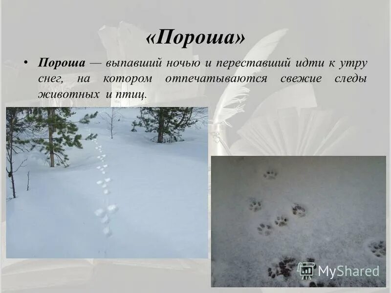 Ледяная корка на снегу. Ледяная корка на снегу. Почему наст. Снежный наст. Снежный наст.