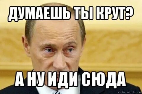 Да я сюда