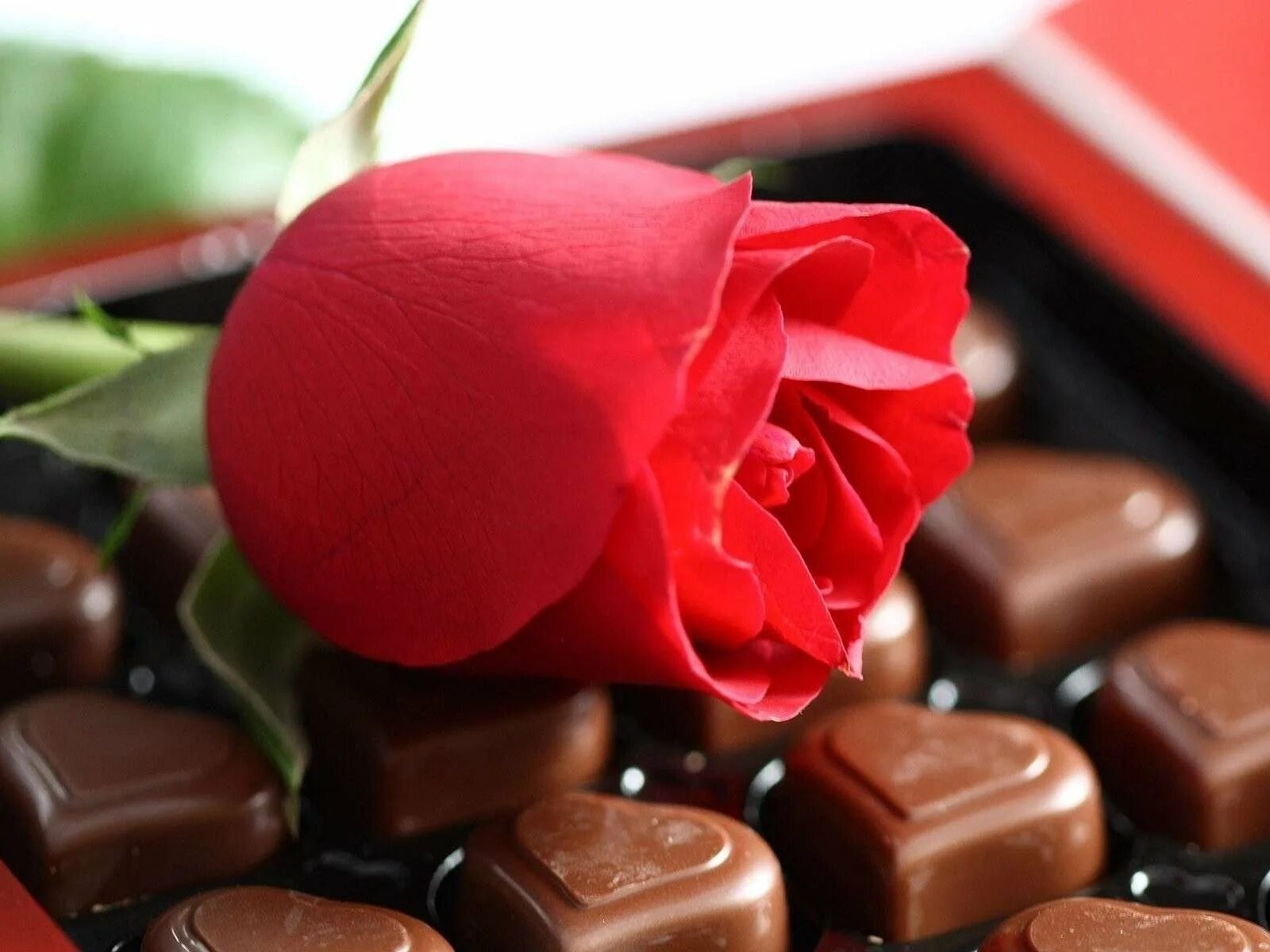 Хорошего дня любимой жене. Шоколадные конфеты и цветы. Цветы с конфетами. Конфеты шоколадные розы. Розы с конфетами.