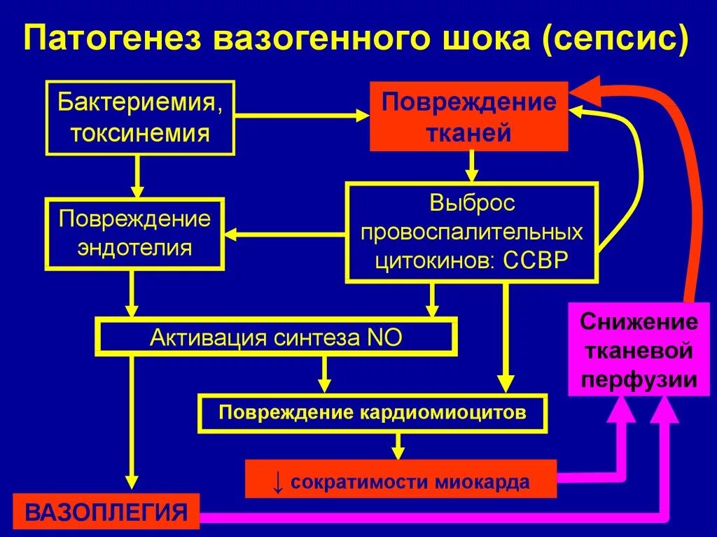 Патогенез септического шока. Механизм развития шока патанатомия. Патогенез шока патанатомия. ШОК стадии патогенез патофизиология. Механизм развития септического шока.