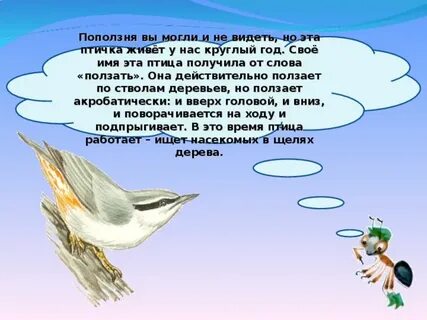 Свое имя эта птица получила