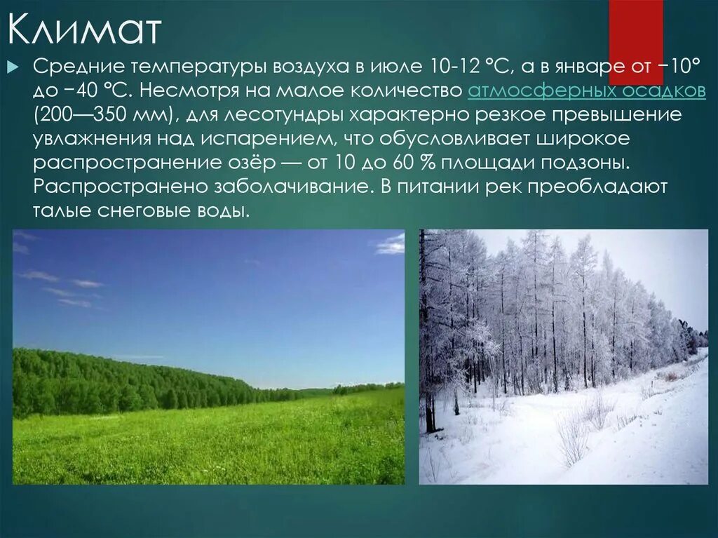 Температура в тундре зимой и летом. Климат лесотундры в России. Климат тундры и лесотундры в России. Тундра и лесотундра климат. Климатические условия тундры и лесотундры.