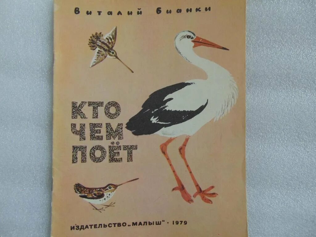 Иллюстрация к рассказу кто чем поет бианки. Кто чем поет картинки. Бианки в. Бианки кто чем поет иллюстрации. Бианки в.