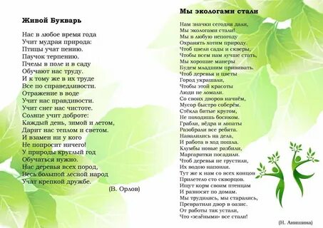 Нас в любое время года учит