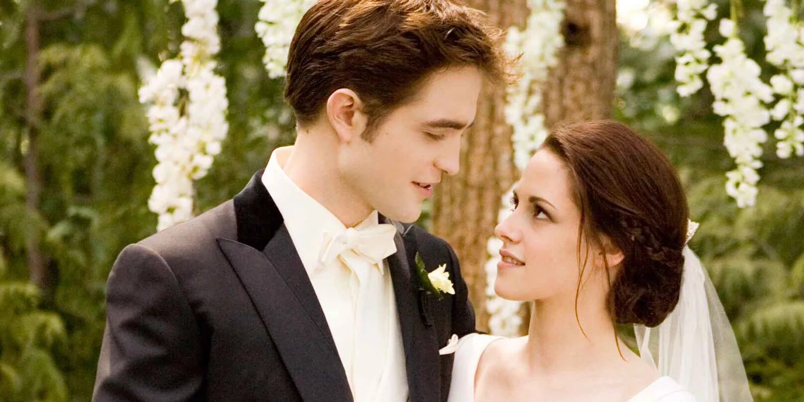 Twilight saga breaking dawn 1