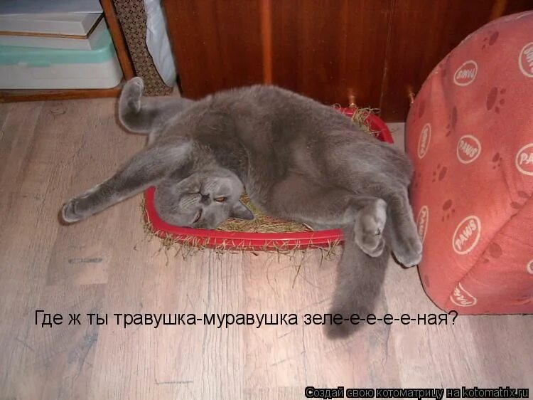 видео где ж. ну где ты варвара екатеринбург. а где я харчеваться буду. картинка где ж мы их всех хоронить будем. дмитрий персин актер.