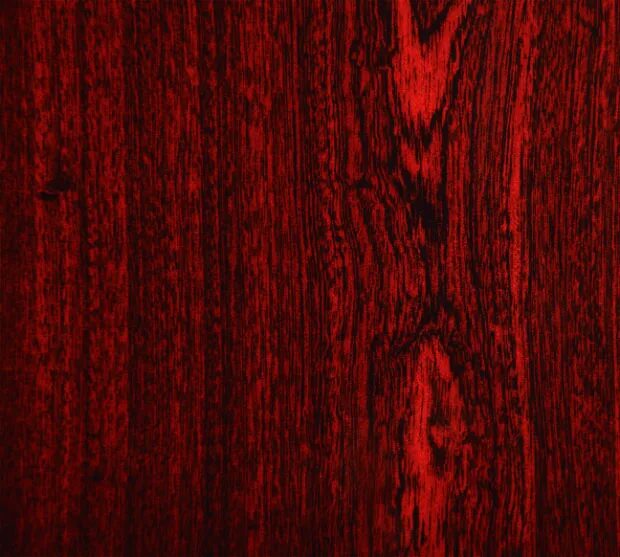 дерево с красными листьями. Acer rubrum (клен красный) 'red sunset'. красный тополь дерево. красное дерево лучшее. редкие деревья.