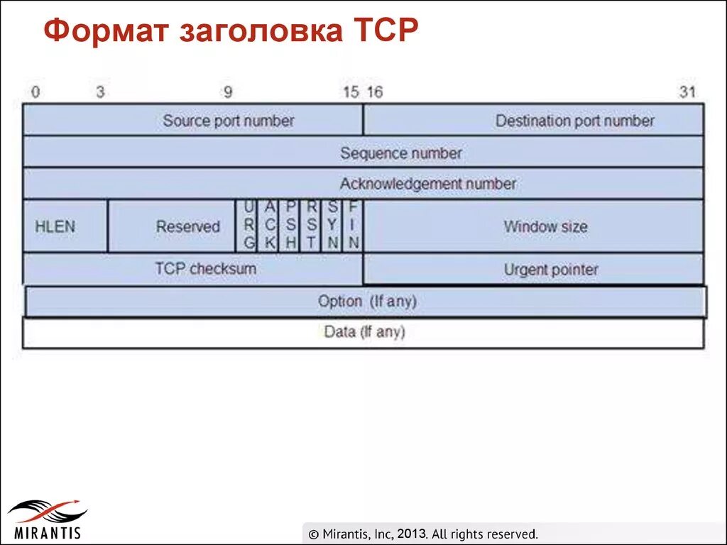 Поля заголовка tcp. Формат заголовка tcp. заголовок пакета tcp. tcp формат. размер заголовка tcp.