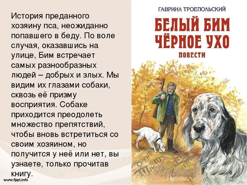 Читать книгу белый бим черное. Книга троепольского белый бим черное ухо. 50 лет книге белый бим черное ухо. читательский проект троепольский белый бим черное ухо. «белый бим, черное ухо», г.н. троепольский.