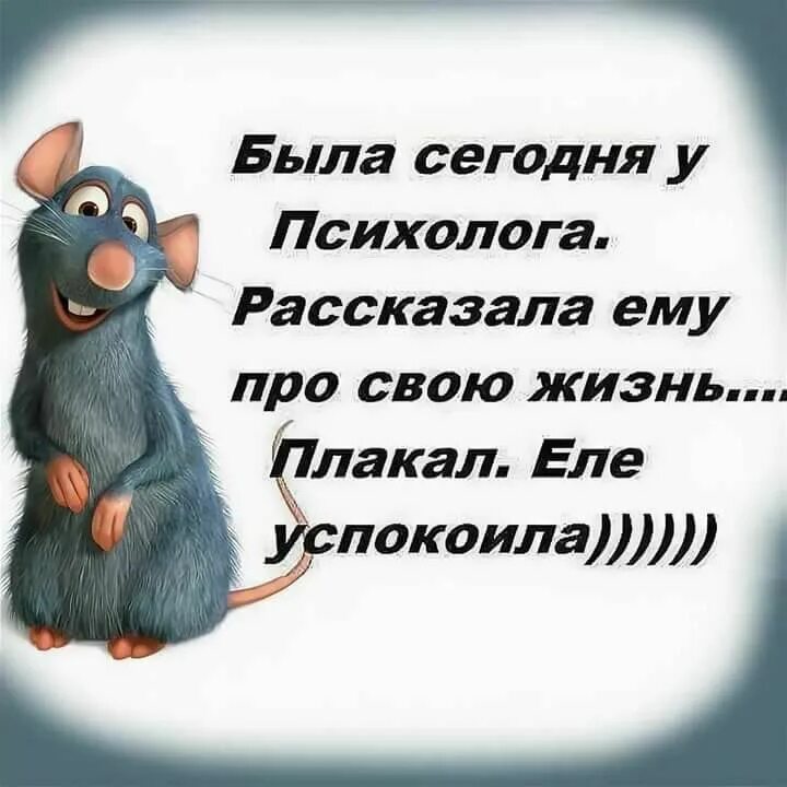 Картинка цитаты юмор. Смешные цитаты. веселые цитаты. смешные высказывания. афоризмы прикольные.