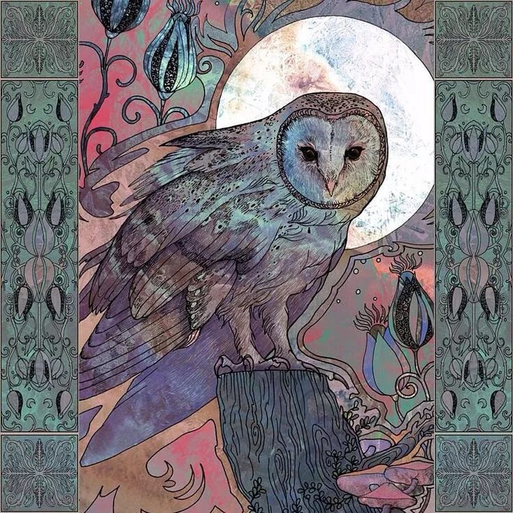 By owl secret video uff retro edit