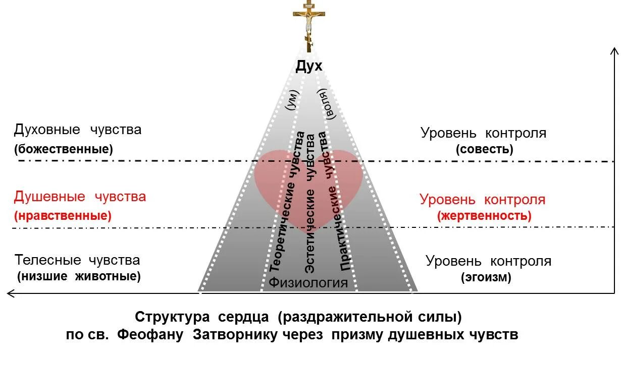 Духовный насколько. Структура сил души по Феофану Затворнику. Силы души Православие. Духовные чувства примеры. Иерархия души.