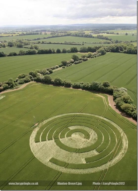 Лабиринт davis' mega maze. Поле лабиринт. Самый большой лабиринт. Поле лабиринт для ev3. Лабиринт кукурузовое поле.