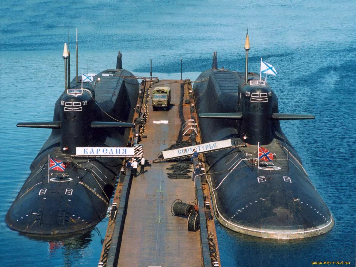 Подводная лодка проекта 667. 667бдрм «Дельфин». 667 БДРМ подводная лодка. АПЛ 667 БДРМ Дельфин. Проект 667 БДРМ Дельфин.