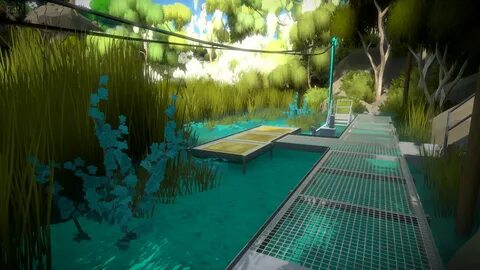 The witness