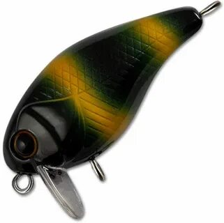 Tsuyoki chef 38f