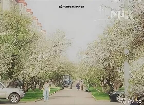 Яблоневая аллея сыктывкар