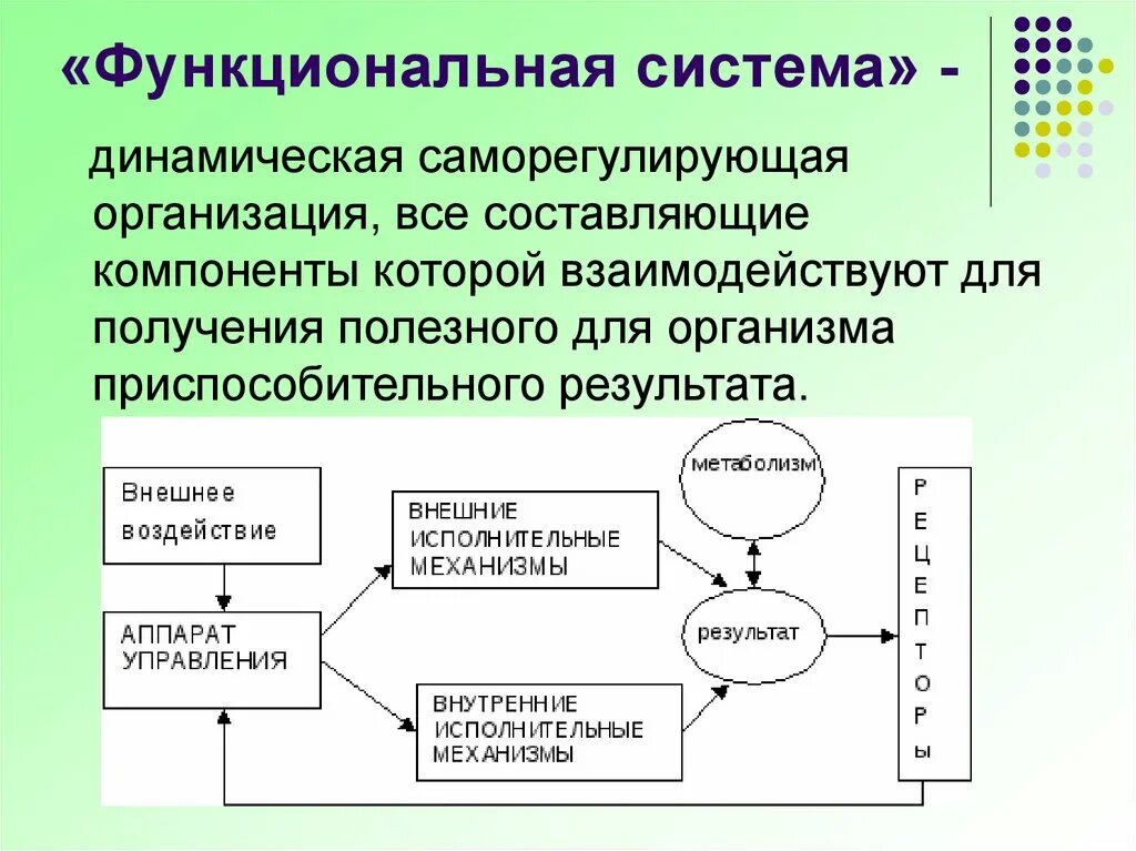 Функциональная система. Функциональная система физиология. Функциональный процесс. Принципы работы функциональной системы. Что понимают под функциональной системой приведите примеры