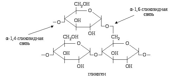 Строение гликогена формула. Гликоген строение. Гликоген строение химия. Структурная формула гликогена биохимия.