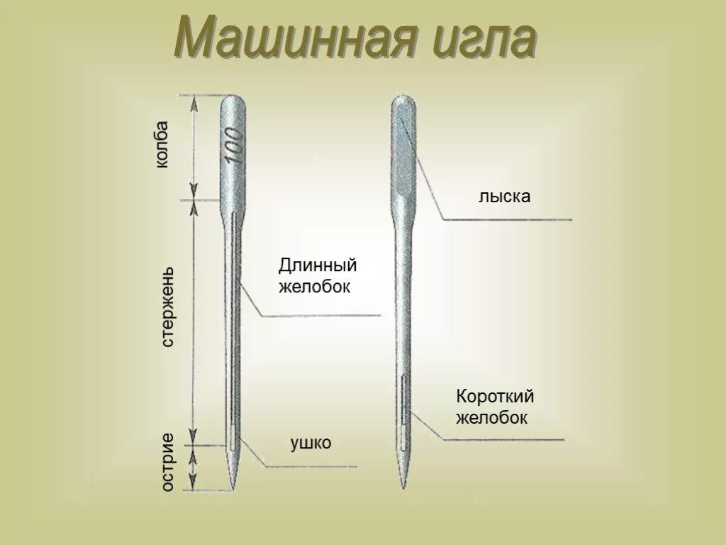 Устройство машинной иглы 6 класс технология. Строение машинной иглы. Конструкция швейной игрюлы. Устройствомашиноц иглы.