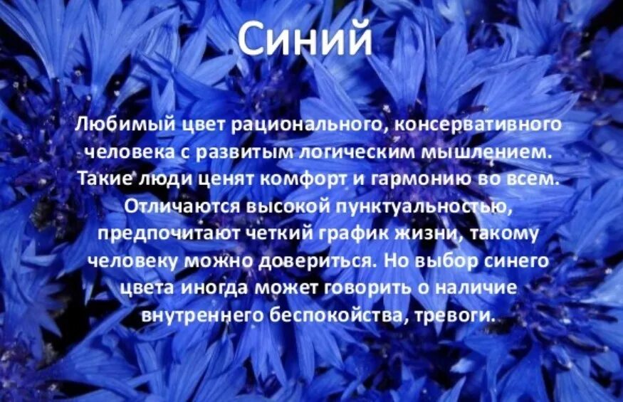 Синий самый любимый цвет. Iсиний цвет в психологию. Синий цвет в психологии. Что означает синий цвет в психологии. Психология синего цвета для человека.