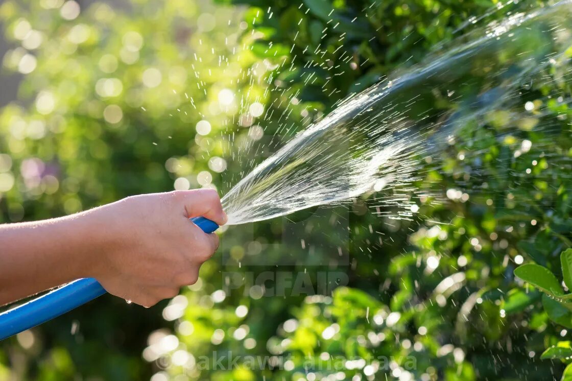 Брызги из шланга. Шланг для воды. Вода из шланга. Вода льется из шланга. Снилось поливали водою