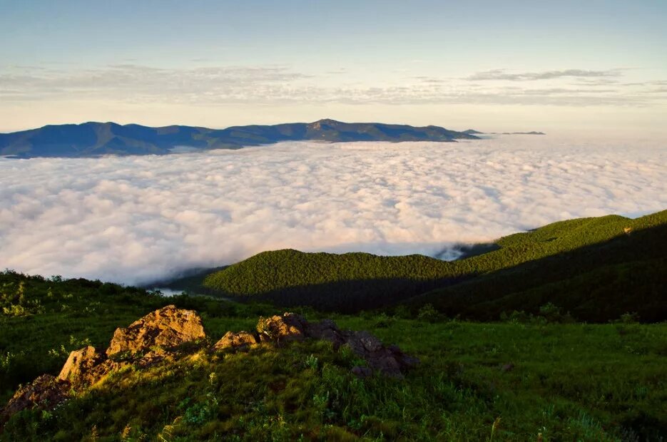Сопки дальнего востока. Гора облачная приморский край. Горы сихотэ алинь. Приморский край уссурийская тайга. Гора глухоманка сихотэ-алинь.