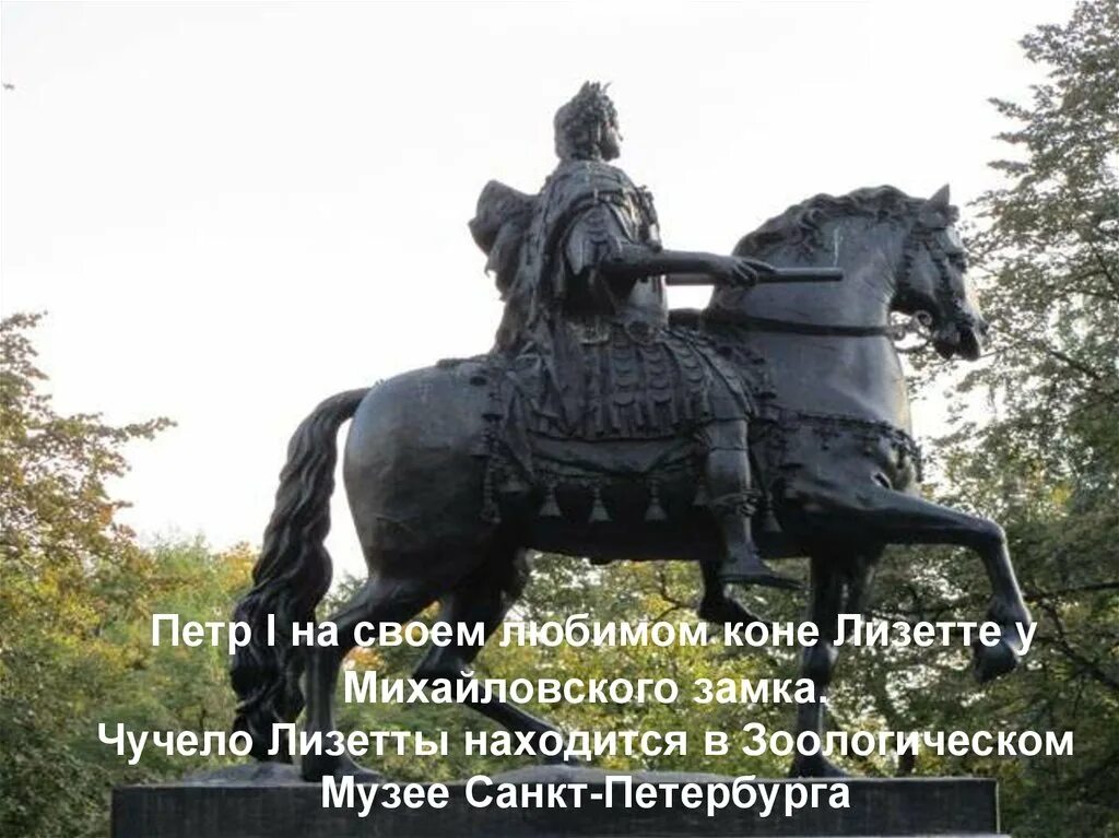 Как звали любимую лошадь петра 1. Лизетта конь петра 1 зоологический музей. Лизетта конь петра 1 зоологический музей. Лошадь петра 1 зоологический музей санкт-петербург. Зоологический музей спб животные петра 1.