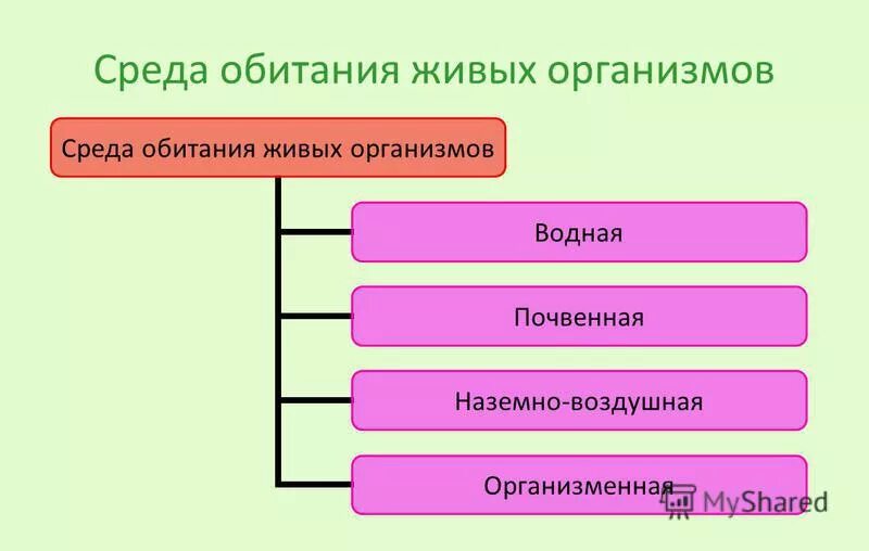 Тест среды обитания живых организмов 5 класс. Синквейн на тему организменная среда обитания. Представители организменной среды. В столбик заполнить 1 водное почвенное воздушное и организменное.