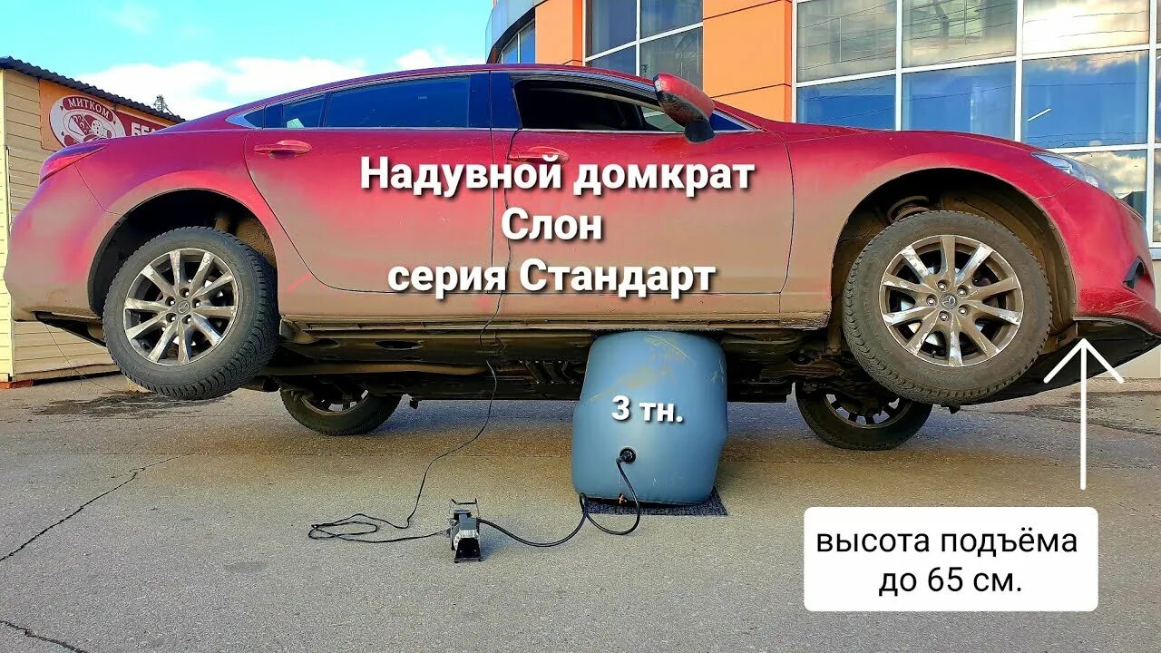 Пневма слон. Солист группы пневмослон. Пневмослон состав группы. Пневма слон. Пневма слон.